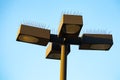 Four square public light pole lights with spikey wires Royalty Free Stock Photo