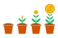 Four stages of financial growth