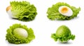 Four stlye of an eggs and lettuce isolated on white background Clipping path, Generative AI illustration