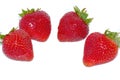 Four strawberries Royalty Free Stock Photo