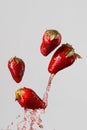 Four strawberries and red juice splash Royalty Free Stock Photo