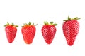 Four Strawberries Royalty Free Stock Photo