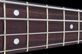 Four string bass guitar fretboard neck with selective focus