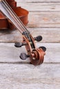 Four string violin close up.