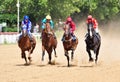 Four thoroughbred racehorses in motion Royalty Free Stock Photo