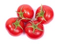 Four tomatoes on a branch