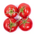 Four tomatoes on a branch Royalty Free Stock Photo