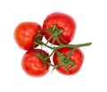 Four tomatoes on the green branch. The view from above Royalty Free Stock Photo