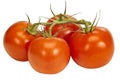 Four Tomatoes On A Vine Royalty Free Stock Photo