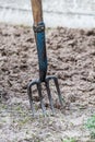 Four-tooth metal pitchfork a tool for farming stands in plowed land Royalty Free Stock Photo