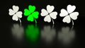 Four traditional Patrick leaf clover, white and green, on black background with reflections.