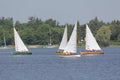Four traditional sailing boats racing Royalty Free Stock Photo