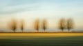 Four Trees in a Misty Field at Sunrise Royalty Free Stock Photo