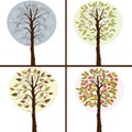 FFour trees in seasons- winter,spring,summer,autumn Royalty Free Stock Photo