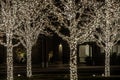 Four Trees with White Holiday Lights