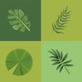 four tropical leafs