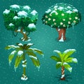 Four tropical plants in the ice