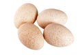 Four turkey eggs isolated on white background close-up Royalty Free Stock Photo