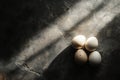 Four turkey eggs are lying on a dark gray surface illuminated by beams of sunlight Royalty Free Stock Photo
