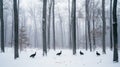 Four Turkeys Walking Through a Snowy Forest Royalty Free Stock Photo
