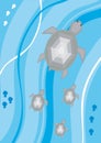 The four turtles float in depth of the sea