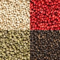 Four variations of peppercorns in a square