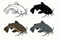 Vector catfish, 4 versions, outline, silhouette and colored Royalty Free Stock Photo
