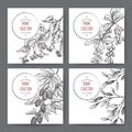 Four vector labels with lime tree, barberry, mistletoe, hop sketch.