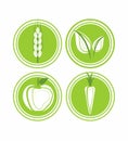 Four vegan green buttons Royalty Free Stock Photo