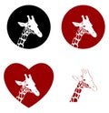 Four versions of giraffe head