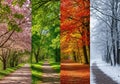 Four vertical panels depict a path through a park, each representing a different Royalty Free Stock Photo