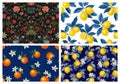 Four vibrant floral and citrus fruit seamless patterns for design projects Royalty Free Stock Photo