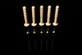 Four wall dowel pin with screw isolated on black with reflections