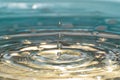Four water drops in detail