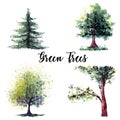 Four watercolor hand drawn forest trees