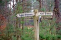 Four way public bridleway sign in a woodland