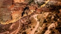 Four wheel drive cars heading up the White Rim Road and Shafer Trail in Canyonlands National Park Royalty Free Stock Photo
