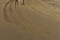 Four wheel drive tracks in wet sand Royalty Free Stock Photo