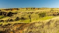 Four Wheel Drive Trail on The Papakolea Beach Trail Royalty Free Stock Photo