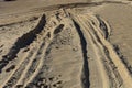 Four wheel drive tracks in soft sand with vanishing point Royalty Free Stock Photo