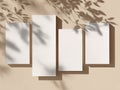 Minimalist Blank Cards Mockup with Natural Leaf Shadows Royalty Free Stock Photo