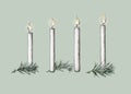 Four white burning candles with fir branches