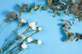 The four white carnation and eucalyptus on a blue background with an empty space for notes. Romantic card Royalty Free Stock Photo