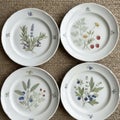four white ceramic plates with floral and botanical designs Royalty Free Stock Photo