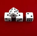 Four white dice