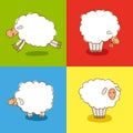 Four White Sheeps Isolated on colored background. Royalty Free Stock Photo