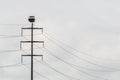 Four white storks ciconia ciconia in nest on electricity pylon Royalty Free Stock Photo