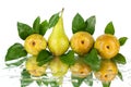 Conference pears with green leaves on white background isolated close up Royalty Free Stock Photo