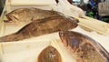 Fish in Meat Market in Downtown Athens, Greece Royalty Free Stock Photo