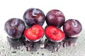 Four purple ripe plums and one cutted plum on white mirror background isolated close up macro in row in water drops Royalty Free Stock Photo